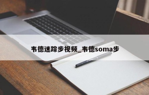 韦德迷踪步视频_韦德soma步