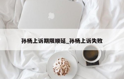 孙杨上诉期限顺延_孙杨上诉失败