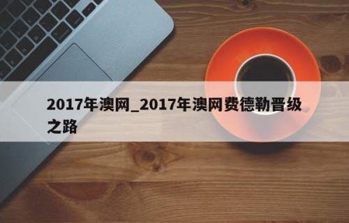 2017年澳网_2017年澳网费德勒晋级之路