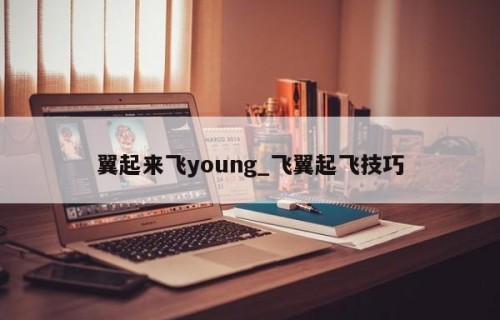 翼起来飞young_飞翼起飞技巧