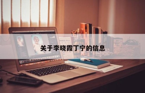 关于李晓霞丁宁的信息