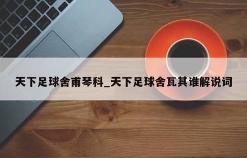 天下足球舍甫琴科_天下足球舍瓦其谁解说词