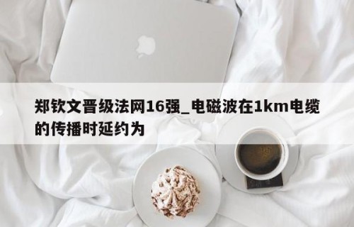 郑钦文晋级法网16强_电磁波在1km电缆的传播时延约为 