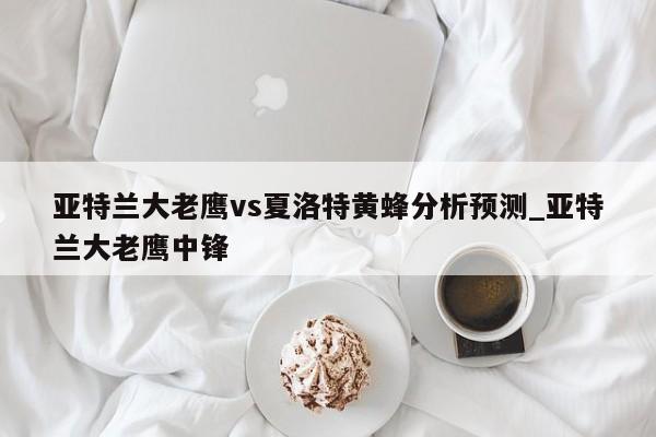 亚特兰大老鹰vs夏洛特黄蜂分析预测_亚特兰大老鹰中锋