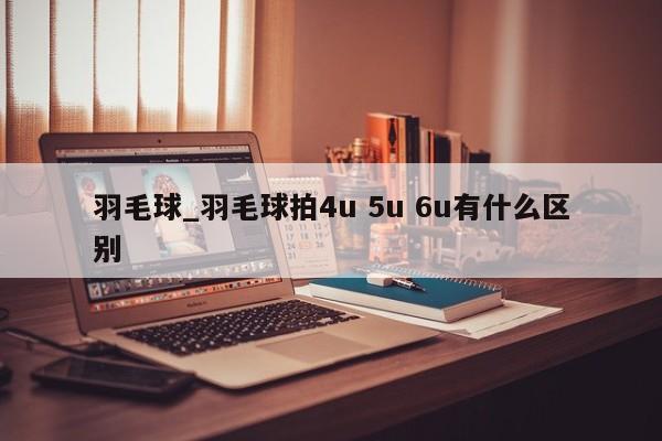 羽毛球_羽毛球拍4u 5u 6u有什么区别
