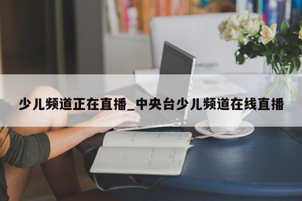少儿频道正在直播_中央台少儿频道在线直播