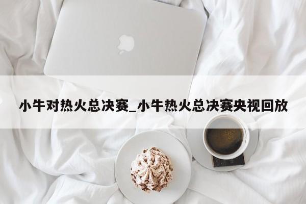 小牛对热火总决赛_小牛热火总决赛央视回放