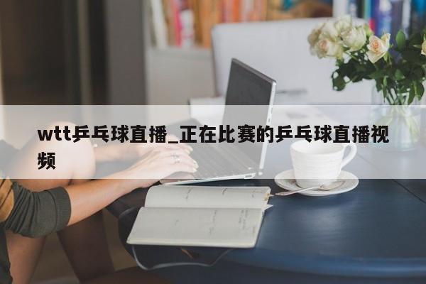 wtt乒乓球直播_正在比赛的乒乓球直播视频